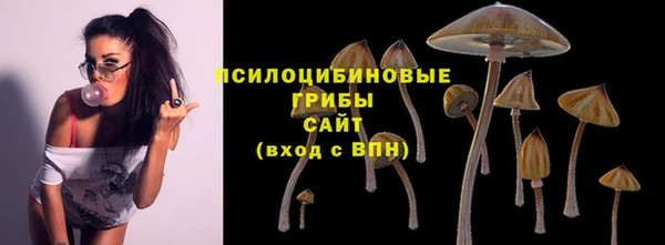 каннабис Алзамай