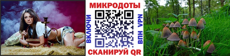Галлюциногенные грибы Magic Shrooms Куса