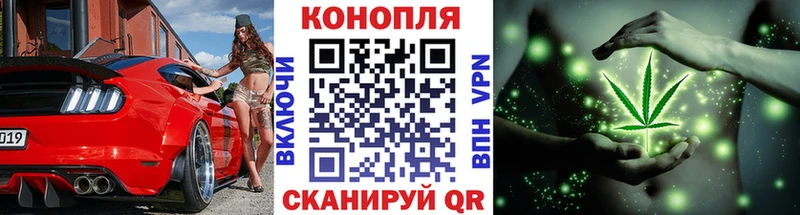 продажа наркотиков Куса Каннабис гибрид